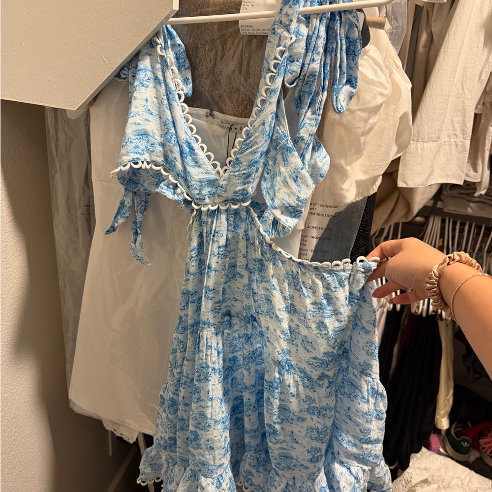 Tularosa- Olynne Dress in Blue Ivory - Picture 4 of 5